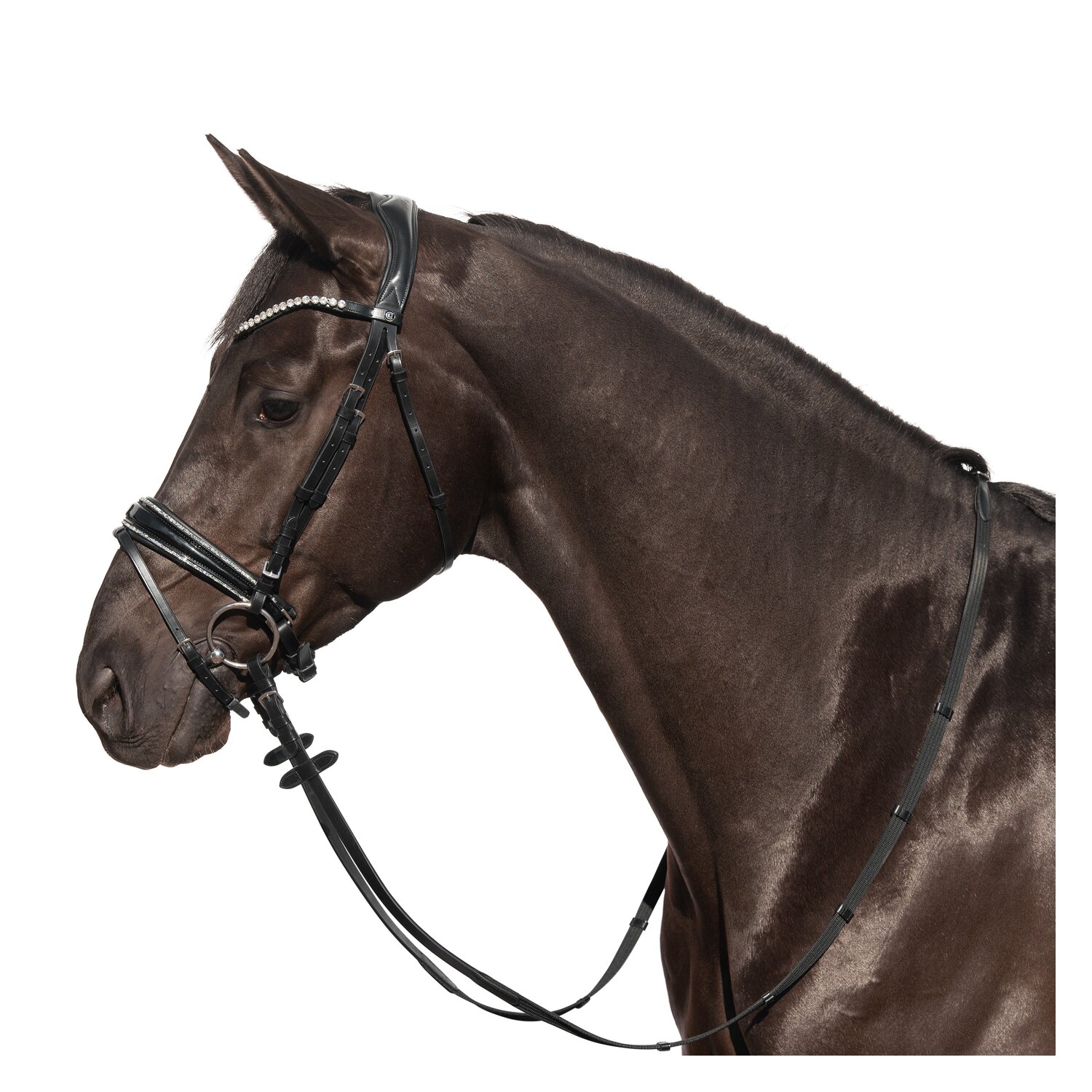 Cheval de Luxe Trensenzaum San Francisco  - schwarz