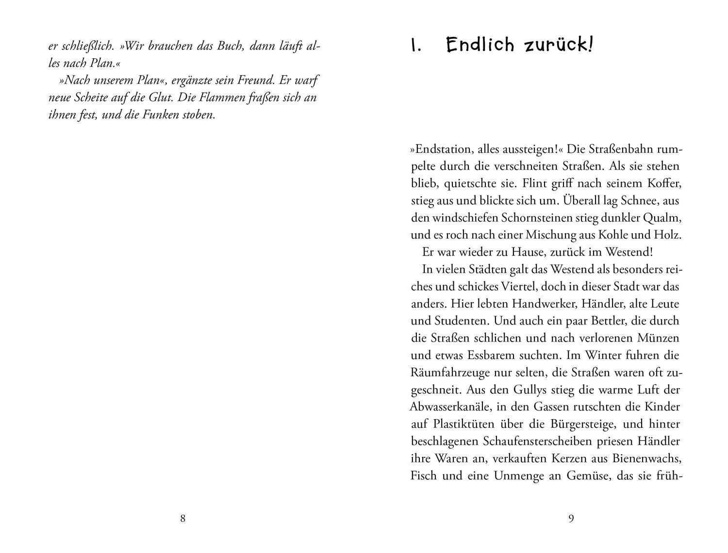 Das Buch der seltsamen Wünsche 2. Der 13. Wunsch