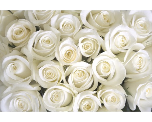 Vliesbehang 18326 Witte Rozen 7-delige set 350 x 260 cm