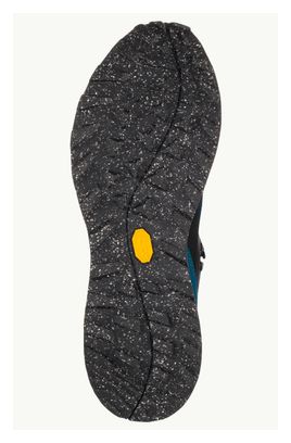 Chaussures de Randonnée Jack Wolfskin Terraventure Texapore Mid Bleu