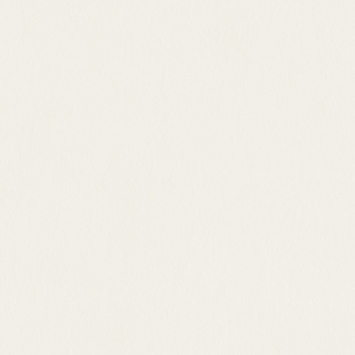 Gordijn Vivian 1537 wool white