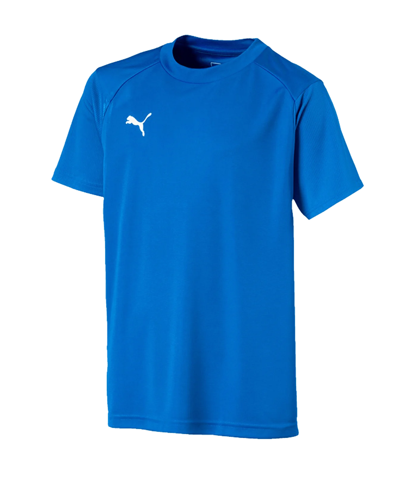 PUMA LIGA Training T-Shirt Kids Blau Weiss F02