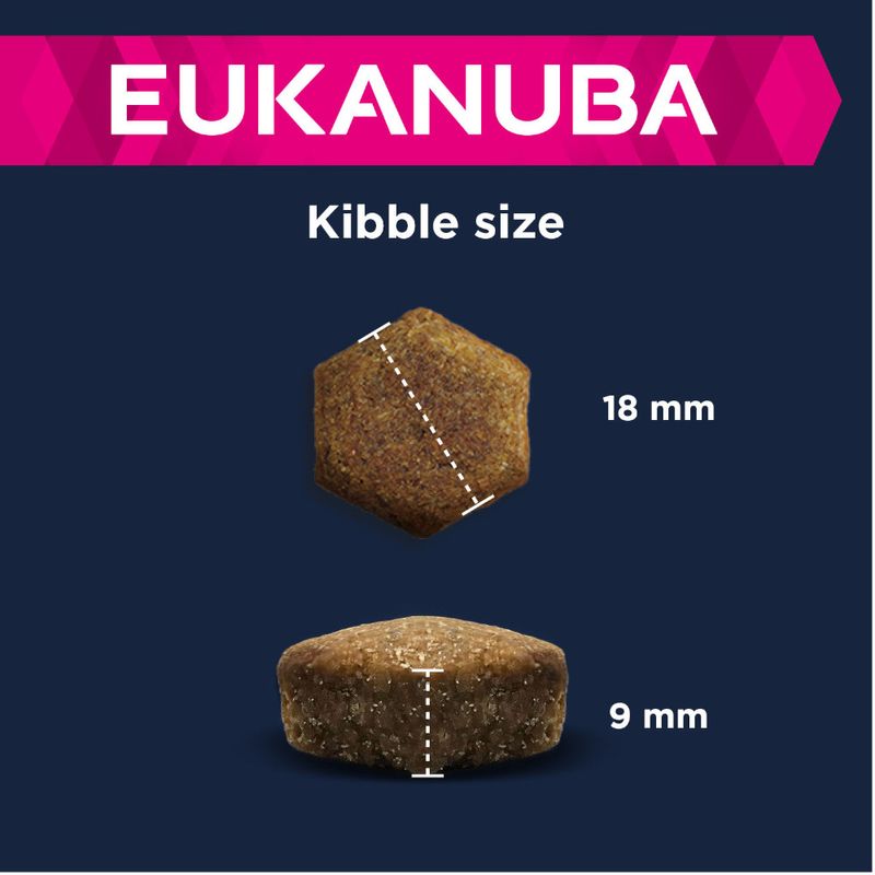 Eukanuba Adult Large Breed agneau, riz