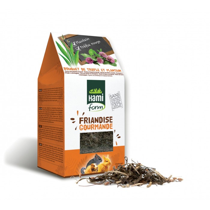 Friandise Gourmande