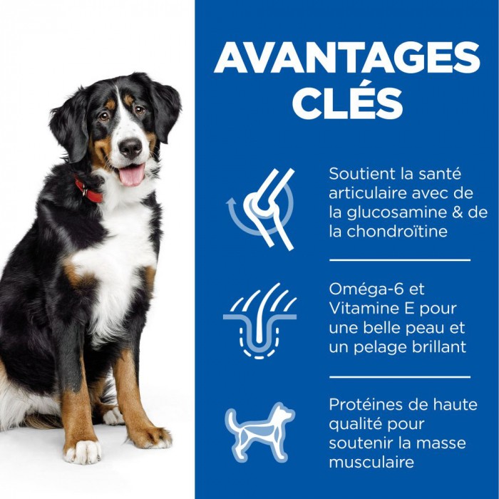 HILL'S Science Plan Large Adult au Poulet - Croquettes pour chien