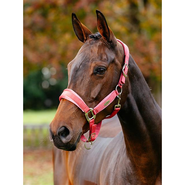 Halster LeMieux Versailles Donkerroze