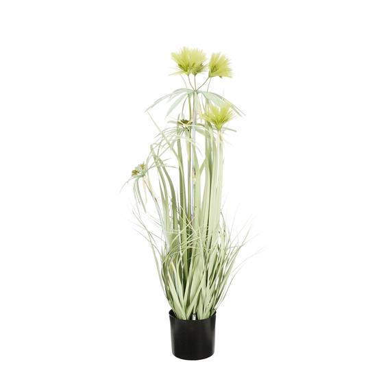 Herbe panaché en pot vert - H.80xD.35cm