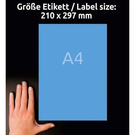 Avery Zweckform 3471 Farbige Etiketten,A4 210 x 297 mm, 100 Bogen/100 Etiketten, blau