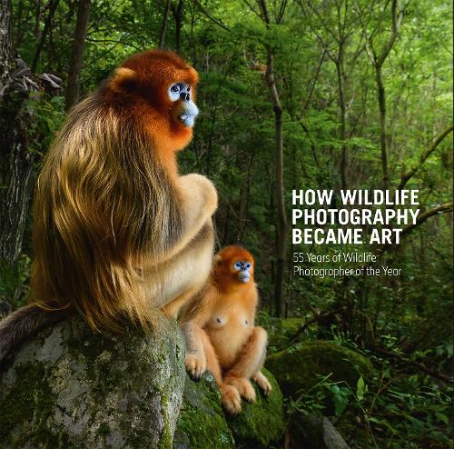 How Wildlife Photography Became Art: 55 Years of Wildlife Photographer of the Year (Hardback)