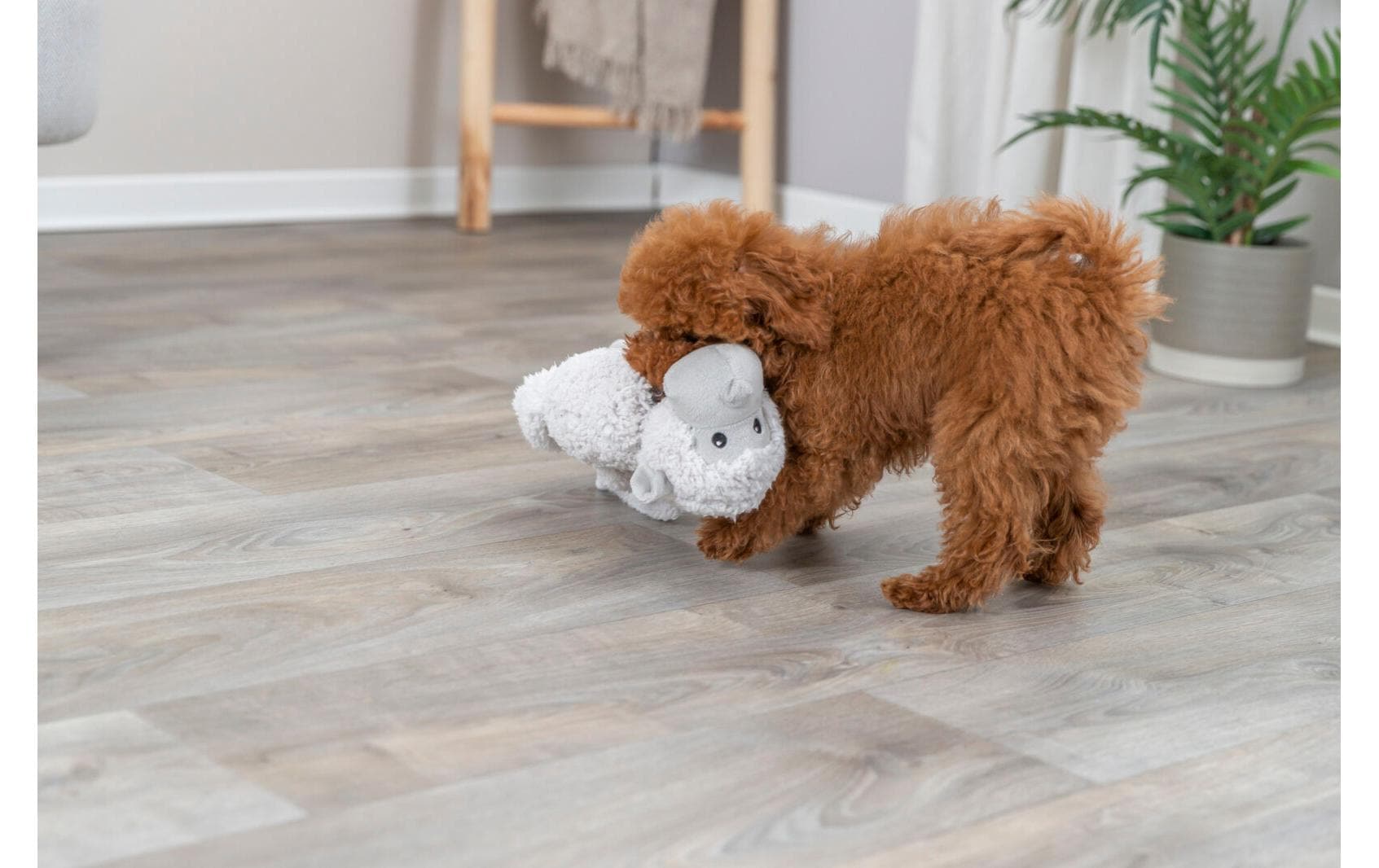 Hunde-Spielzeug Affe, 40 cm, BeigePlüschtier
