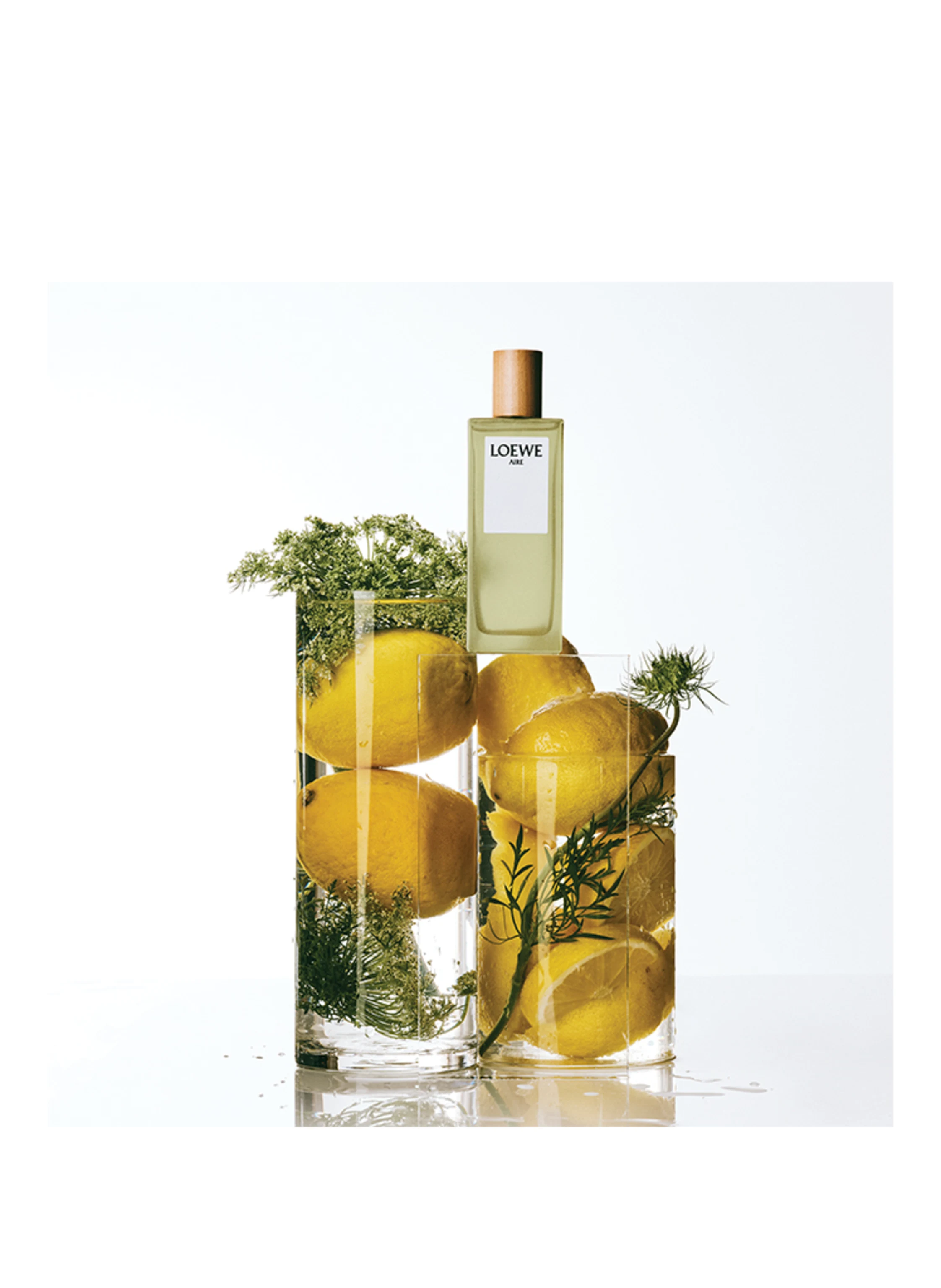 LOEWE AIRE