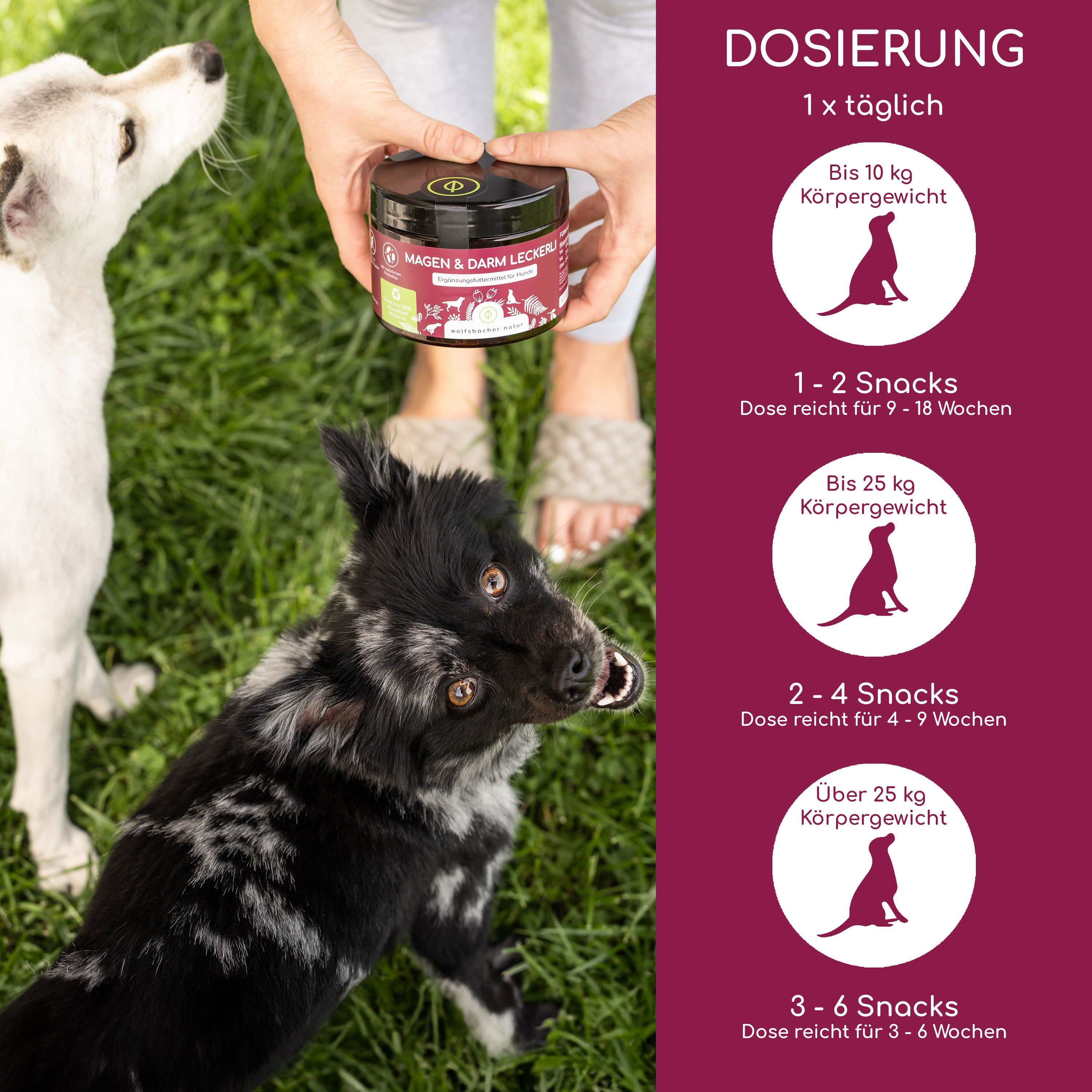 Wolfsbacher Natur Magen & Darm Leckerli