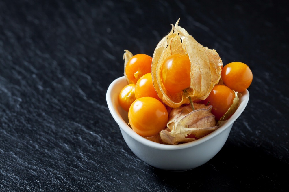 Sachet de graines de physalis peruviana coqueret du perou - sachet de 0,8 grammes - petite entreprise française - made in france