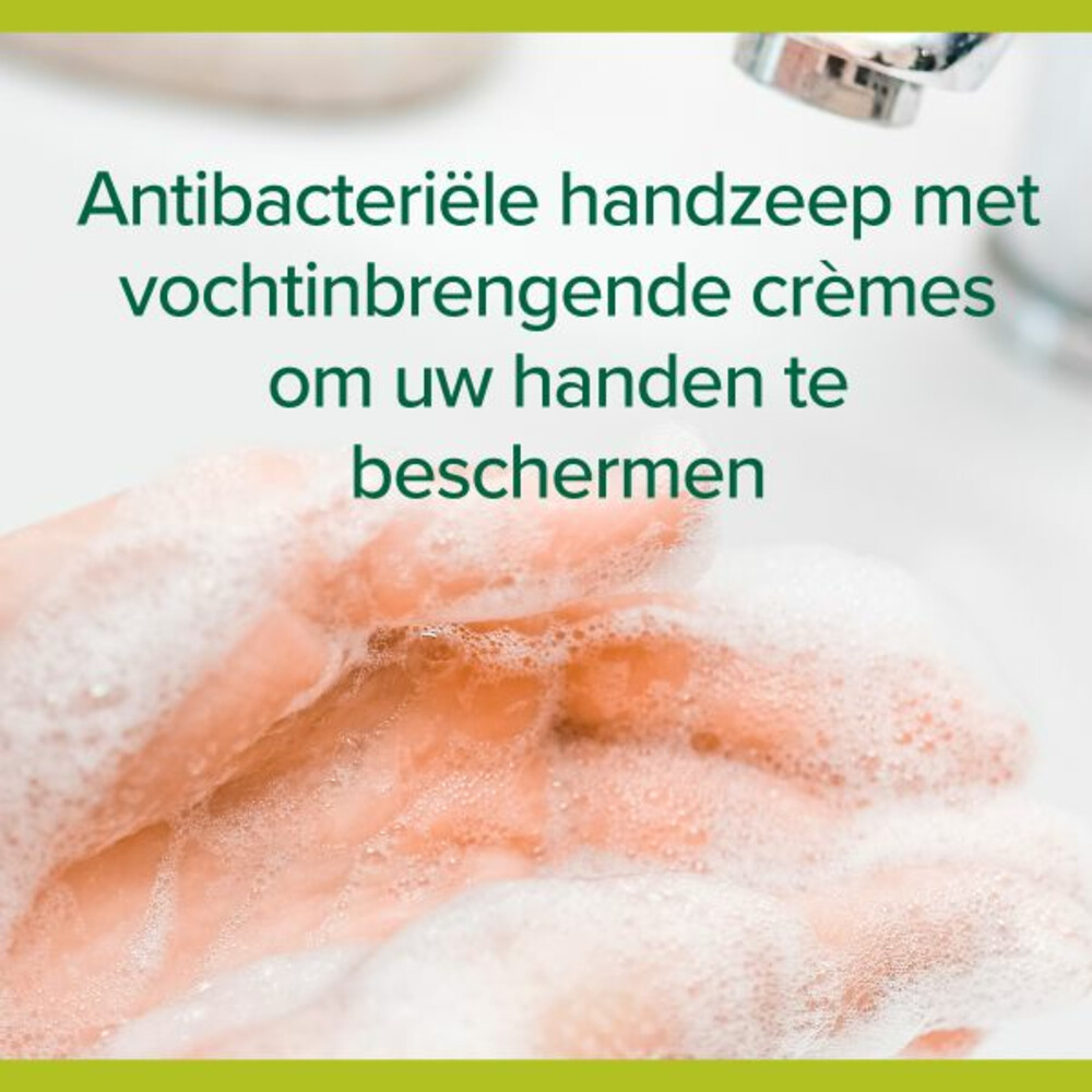 6x Palmolive Handzeep Hygiëne Plus Family300 ml