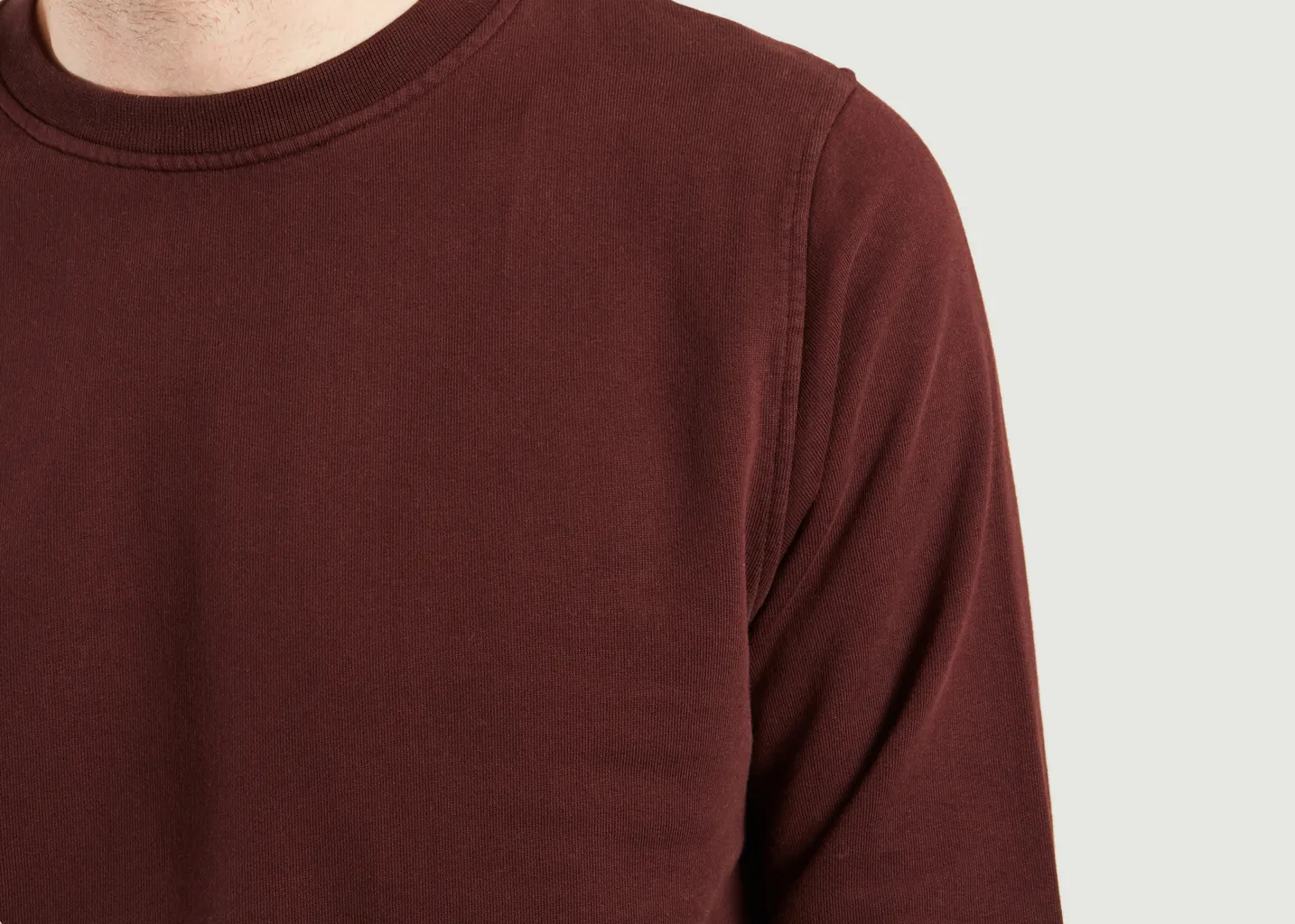 Sweatshirt Classique Colorful Standard