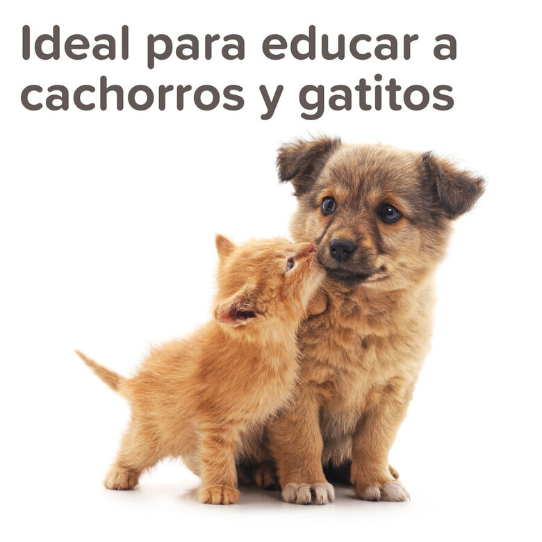 Spray de treinamento externo Beaphar para cães e gatos