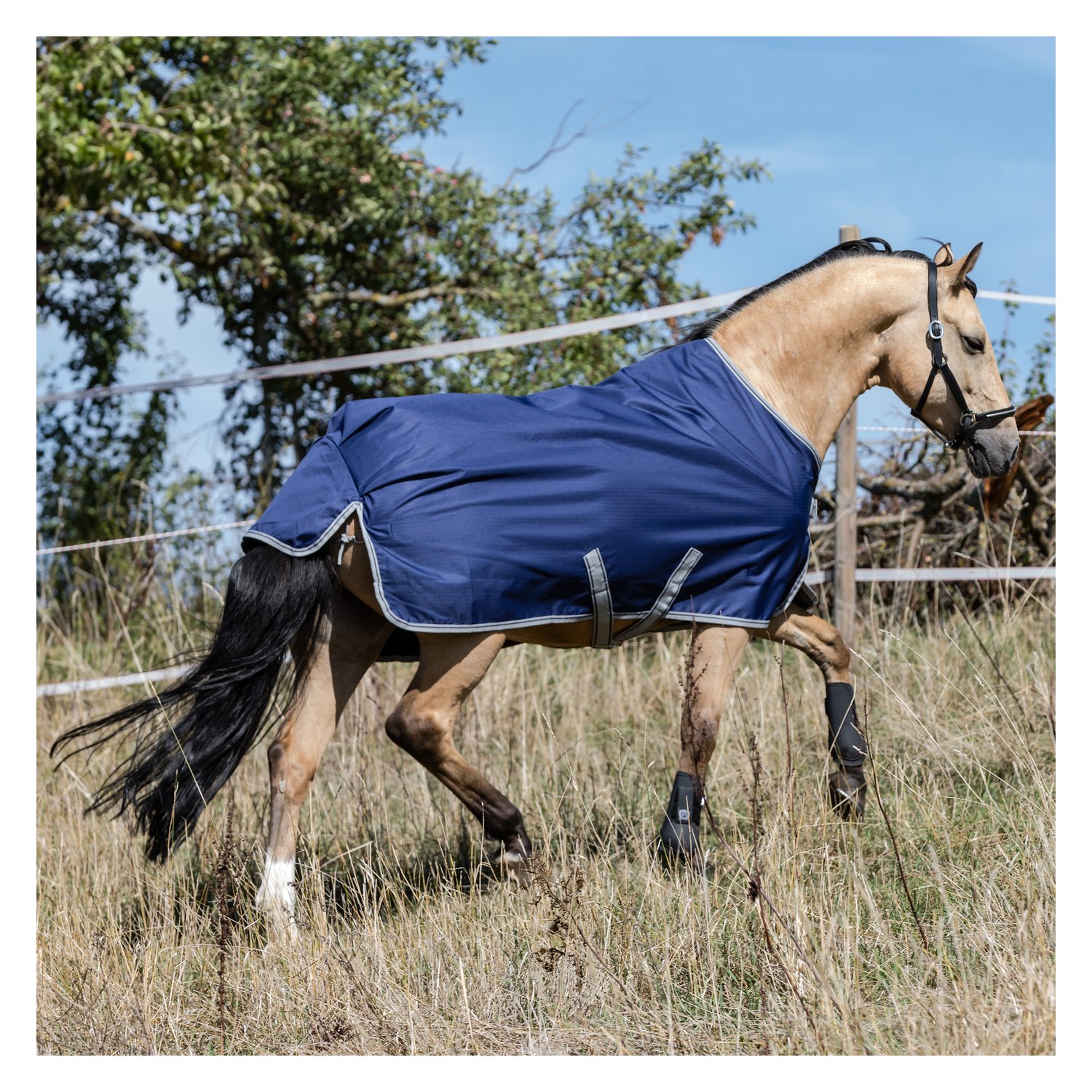 bucas Outdoordecke Freedom Turnout Light Pony  - navy