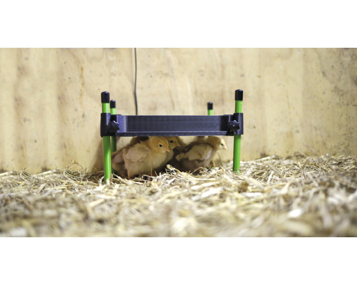 KERBL CosyHeat verwarmingsplaat voor kuikens 30 x 30 cm