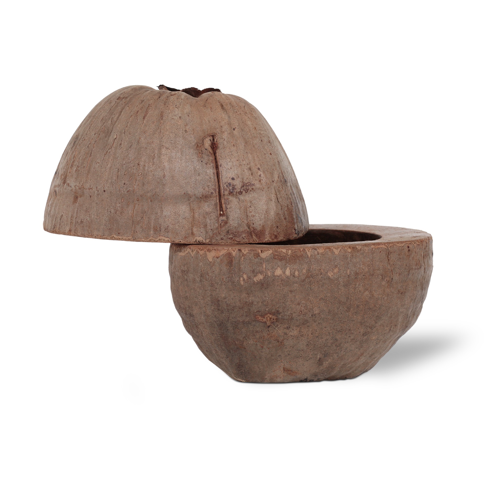 Kokosnuss-Box mit Deckel, natur, Ø 20 cm, H 25 cm von fischer's lagerhaus