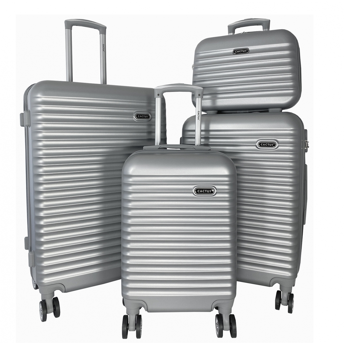 Cactus Lot 3 valises plus 1 vanity rigides Cactus ABS