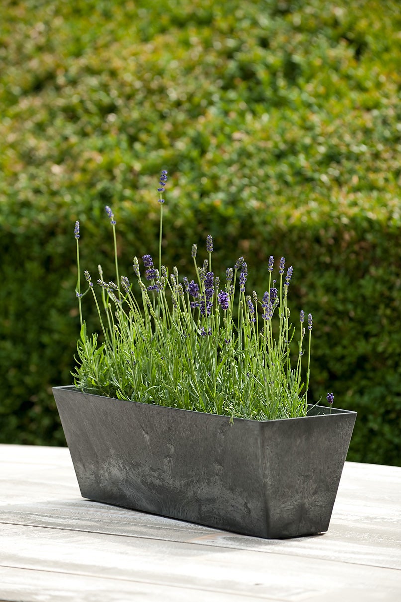 Artstone balkonbak Ella 55 x 17 cm zwart
