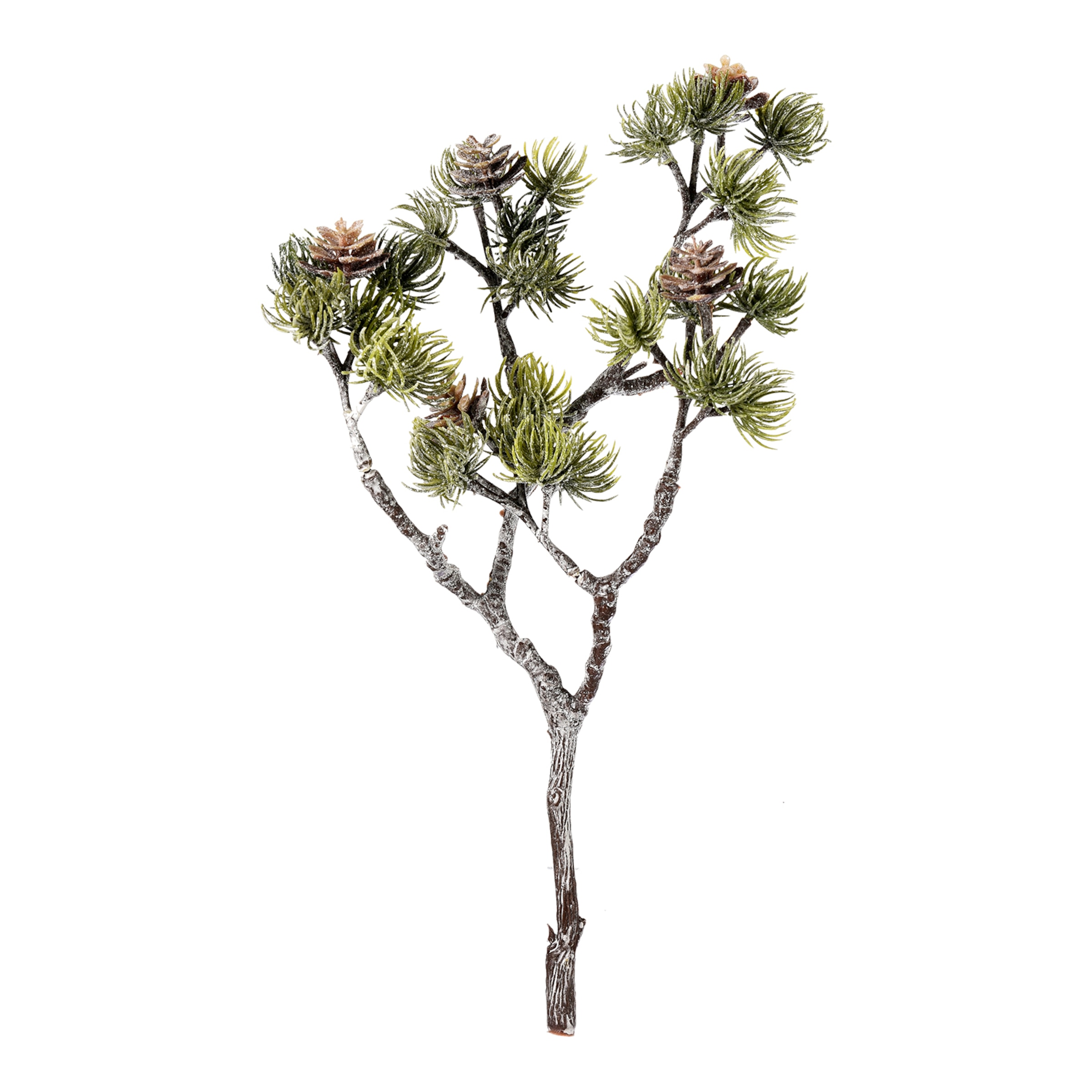 zartgrün, L 30 cm