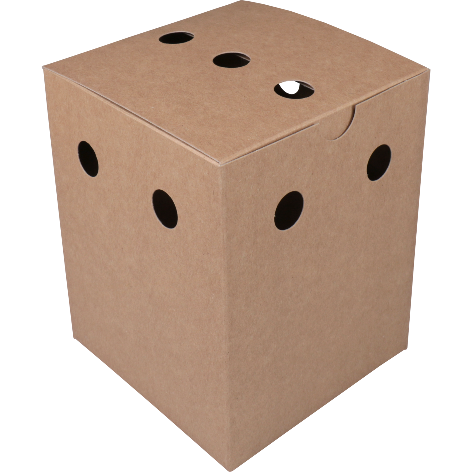 Bak, Karton, fritesbox, 110x110x140mm, bruin