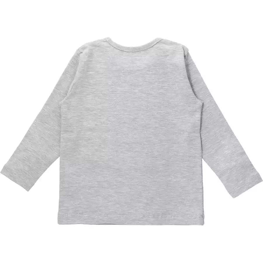 Baby Sweets Shirt Langarm Fairy grau