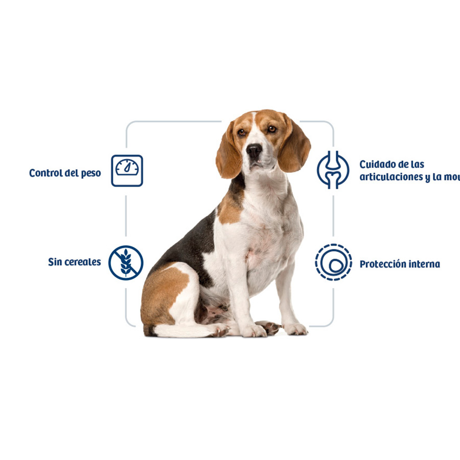 Ração Nath Adult Medium Maxi para Controle de Peso para Cães