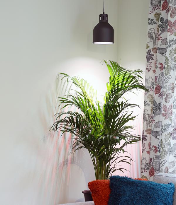 Venso Lampenschirm Saga für Pflanzenlampe