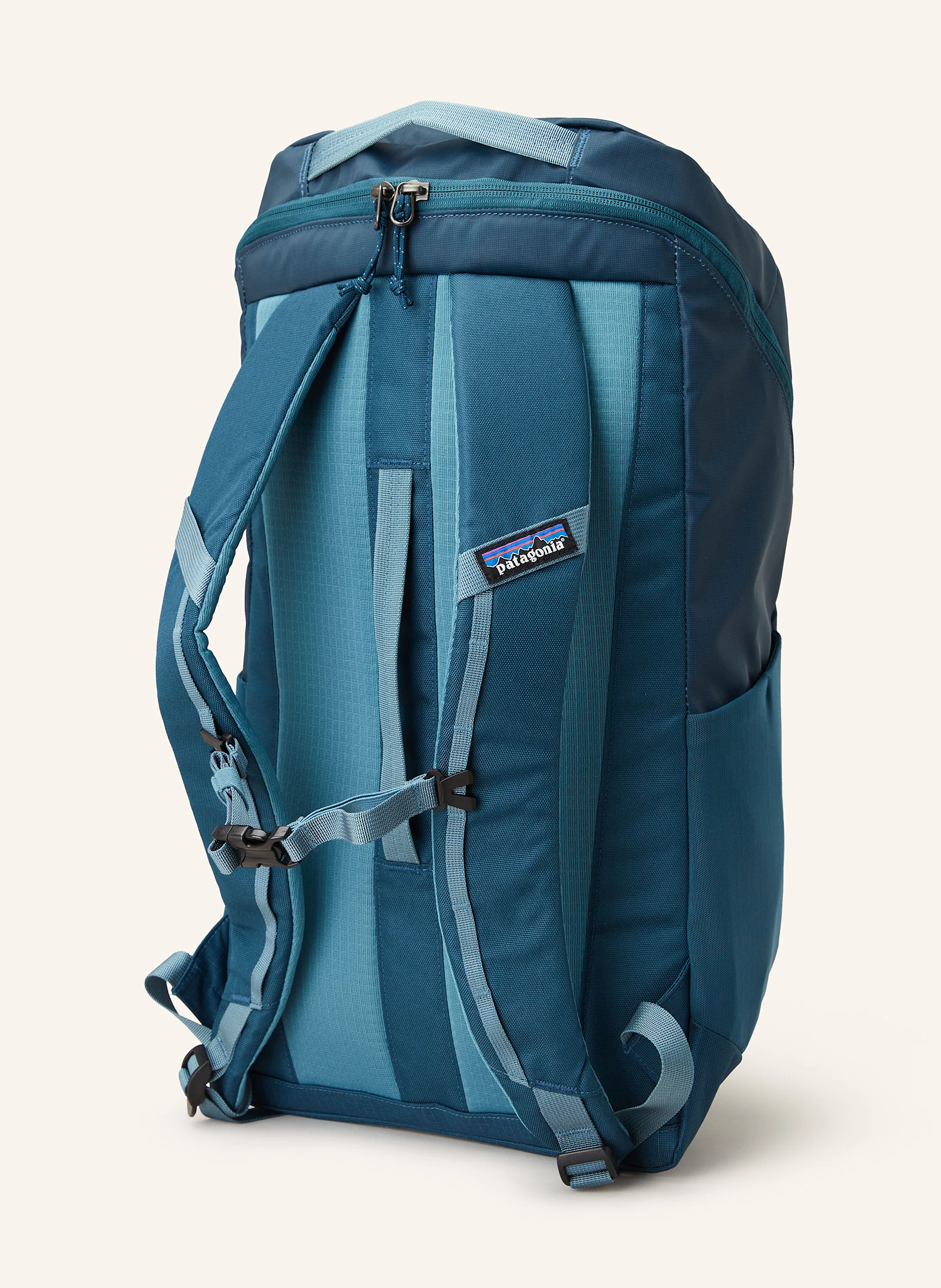 patagonia Rucksack BLACK HOLE® 25 l mit Laptop-Fach