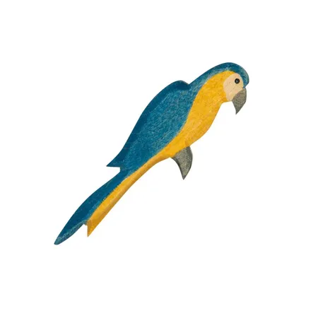 Ostheimer Papagei blau