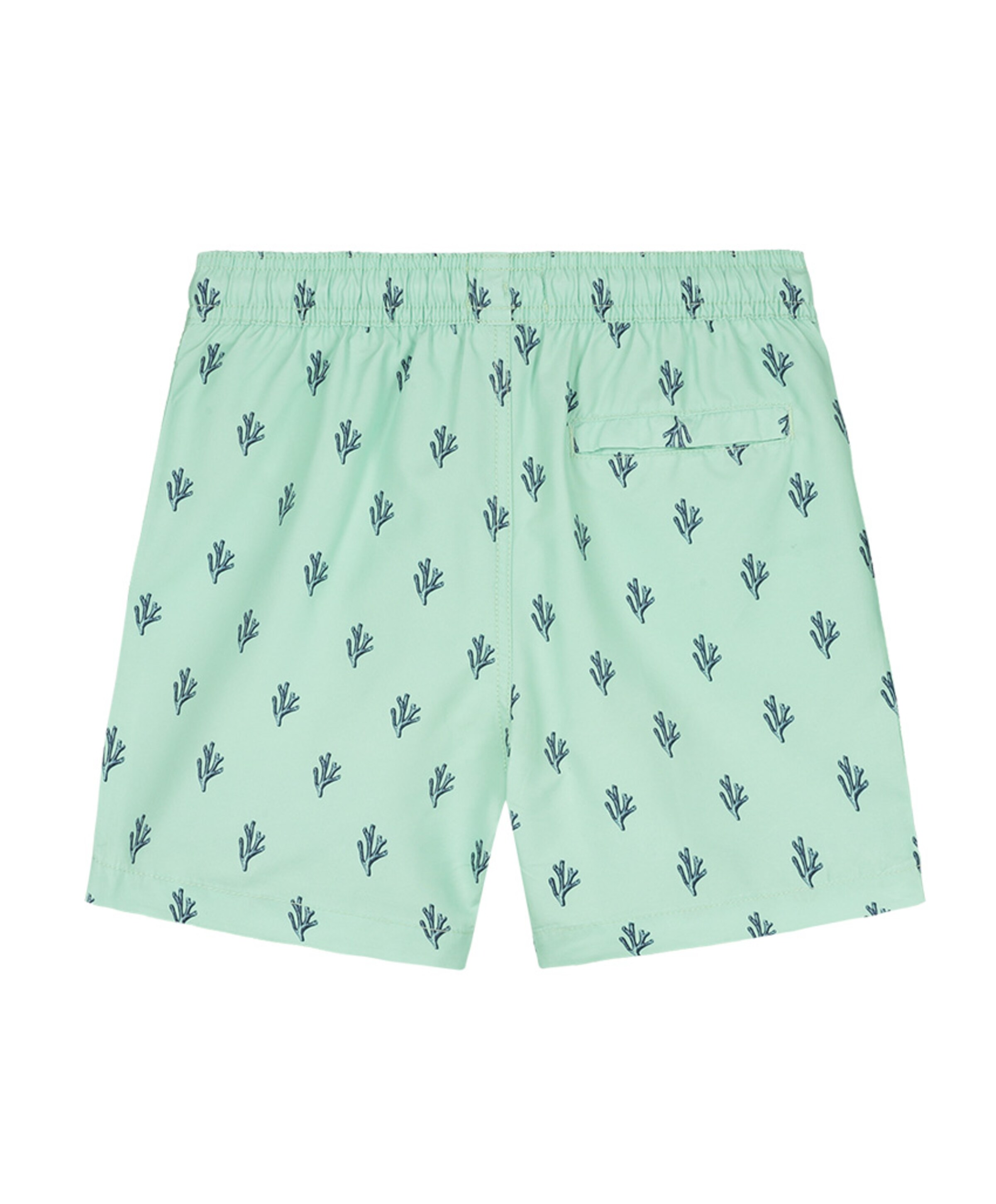 Shiwi Jongens zwemshort groen