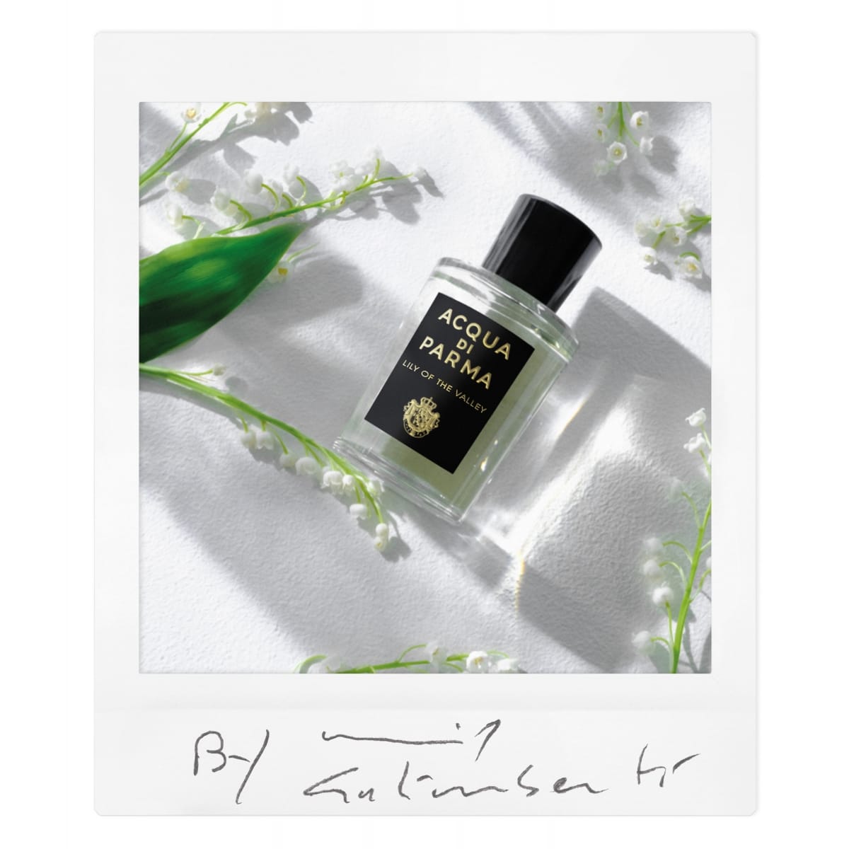 ACQUA DI PARMA Signature Lily of the Valley Eau de Parfum