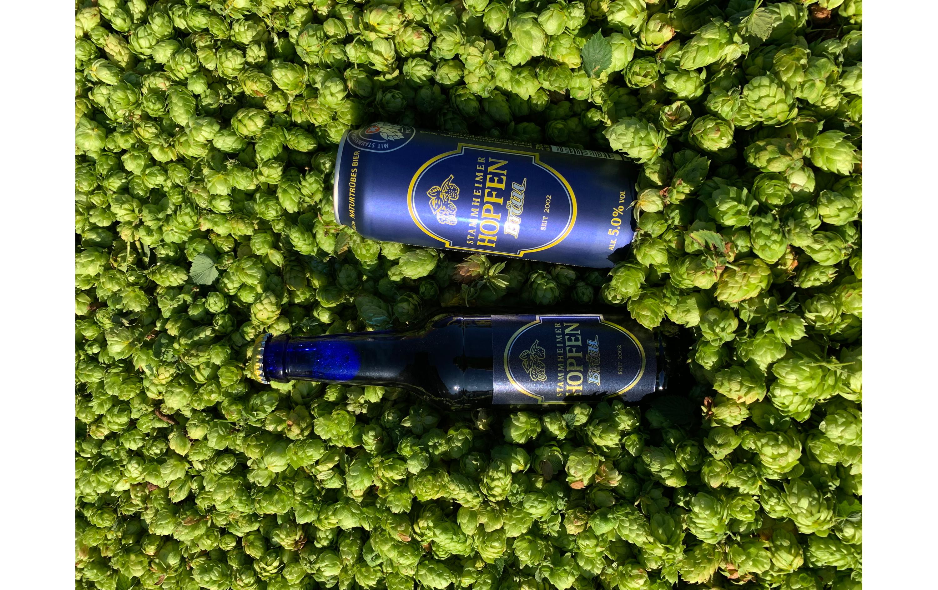 Bier Stammheimer Hopfenbräu naturtrüb 6 x 0.5 lSchweizer Bier mit Stammheimer Hopfen