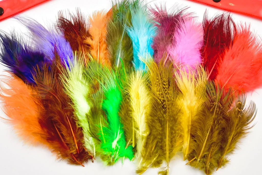 Frodin Flies Pheasant Rump Feather Pack 20 Farger, 100 Fjær