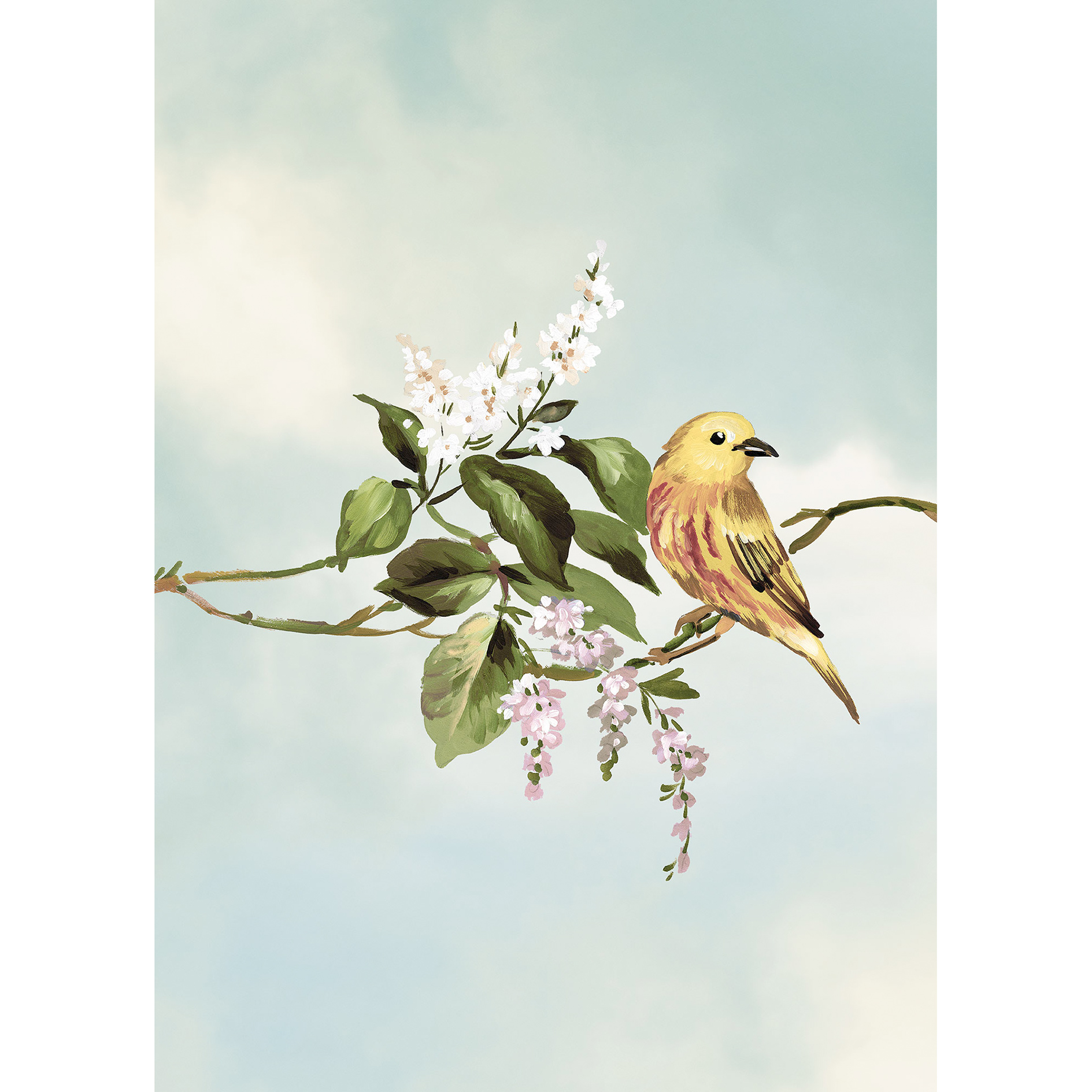 Wandbild GAZOUILLIS DES OISEAUX - bunt - 50x70 cm