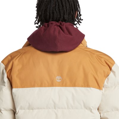 Doudoune homme Dwrelch Mountain TIMBERLAND