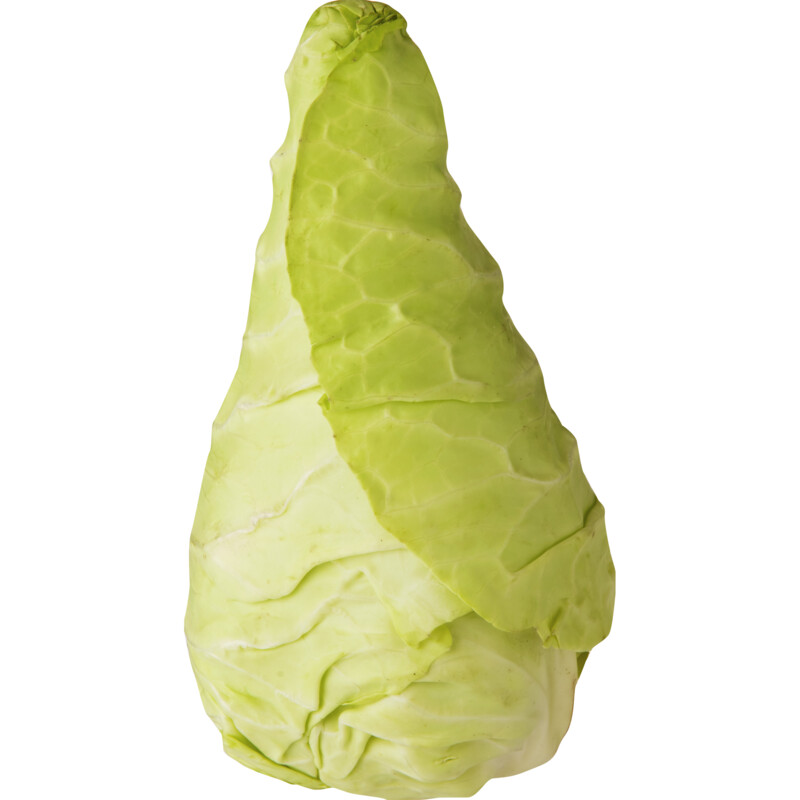AH Spitskool