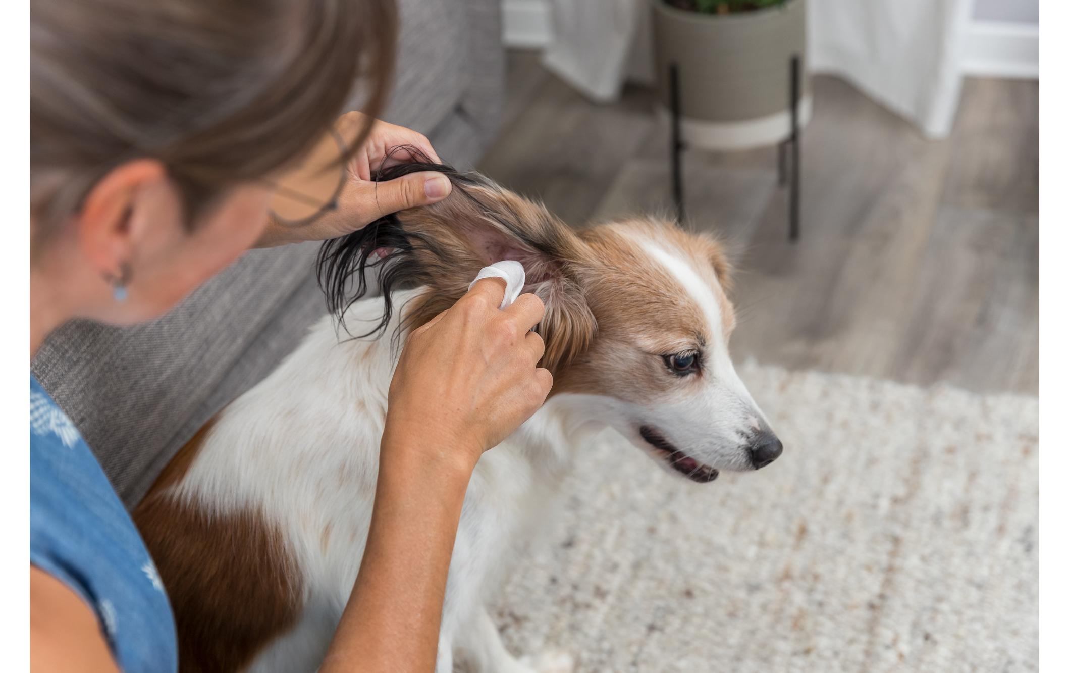 Ohrenreiniger Tücher, 30 StückOhrenpflege für Hunde, Katzen und andere Kleintiere