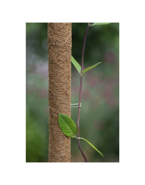 Nature Kokosplantstokkram - Kweekbenodigdheden - 10 stuks
