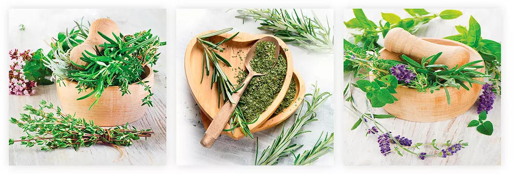 Glasbild 3tlg. Fresh Herbs