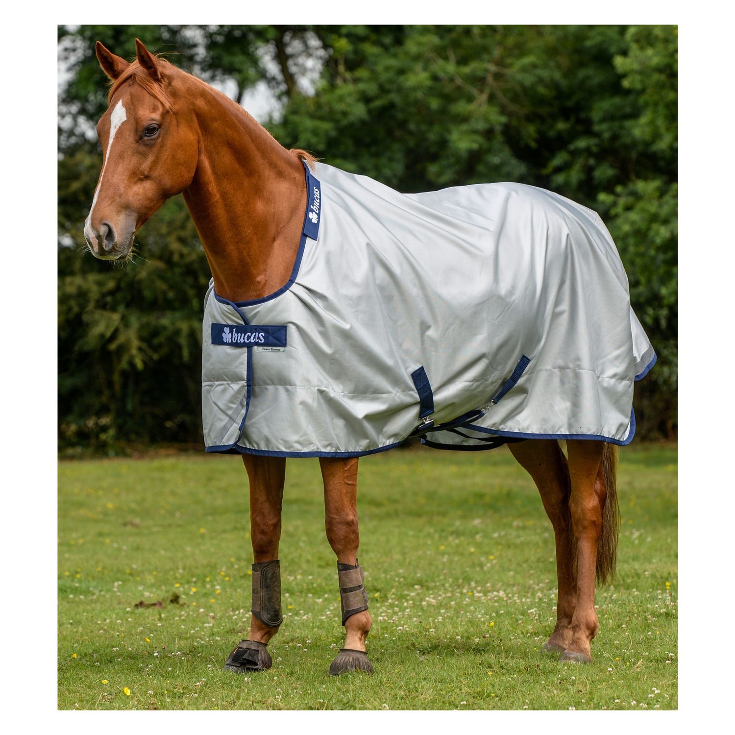 bucas Outdoordecke Power Turnout Classic Light - silber
