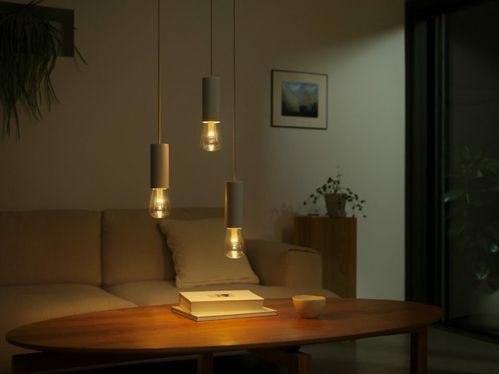 Philips Hue Lightguide edisonlamp ST72 - wit en gekleurd licht - E27