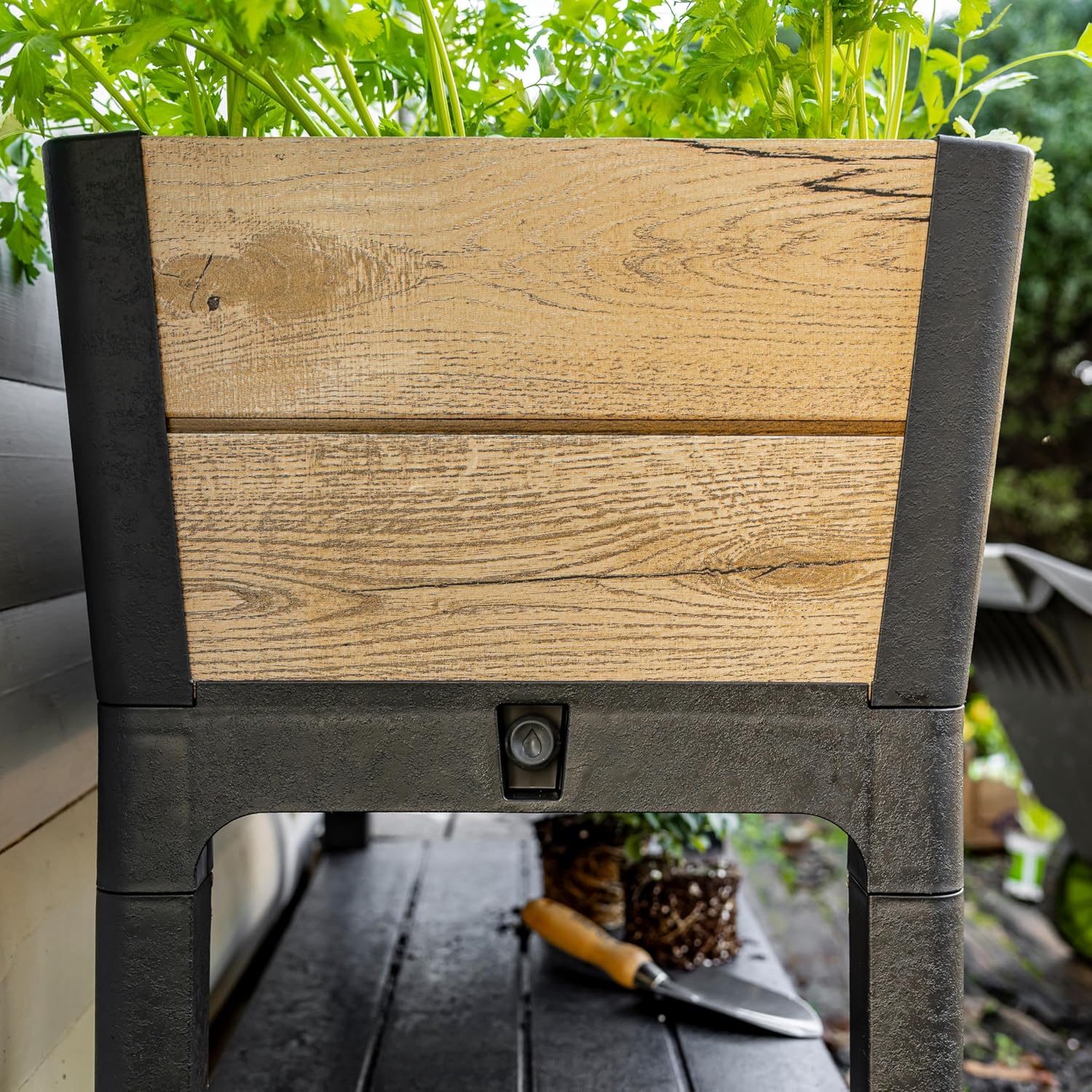 Keter Hochbeet Darwin 110L – Pflanzkasten/Hochbeet in Holzoptik Pinie – Wetterfestes Gemüsebeet mit Selbstbewässerung & Ablauf – Ergonomische Arbeitshöhe für Balkon & Garten (113x47x80 cm)