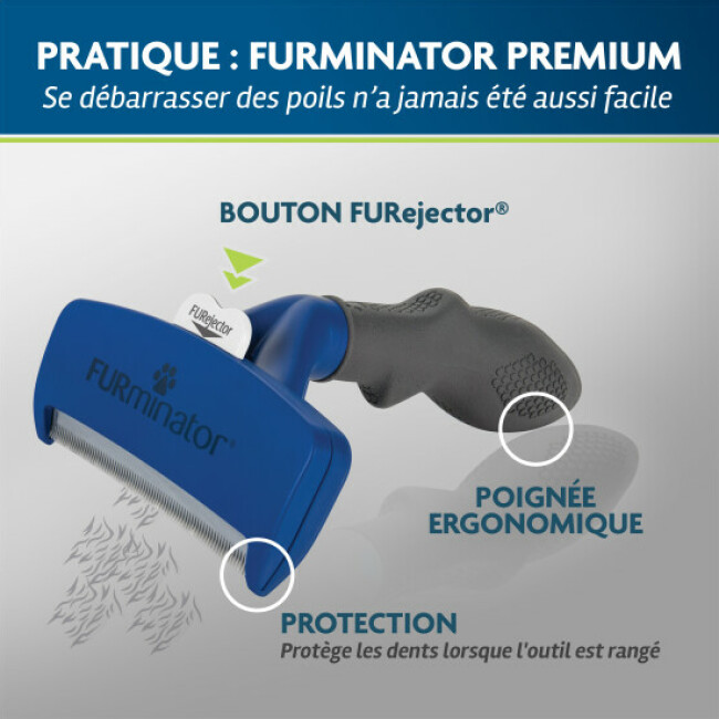 Brosse FURminator pour chien à poils courts