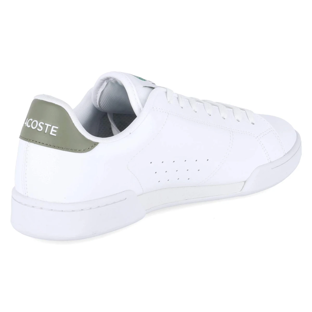 LacosteLow Sneaker CARNABY - wht/khk