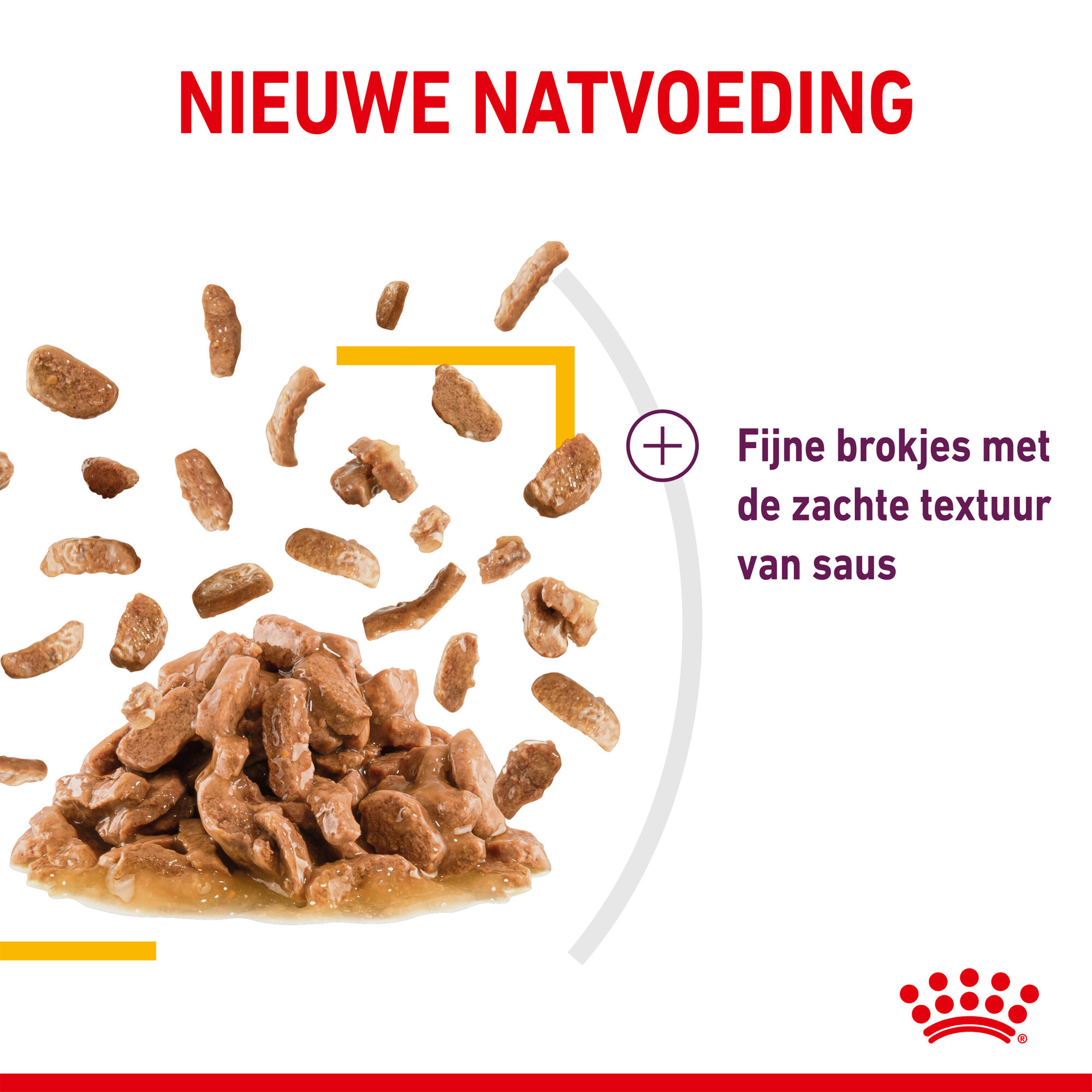 Royal Canin FHN Sensory Taste in Gravy