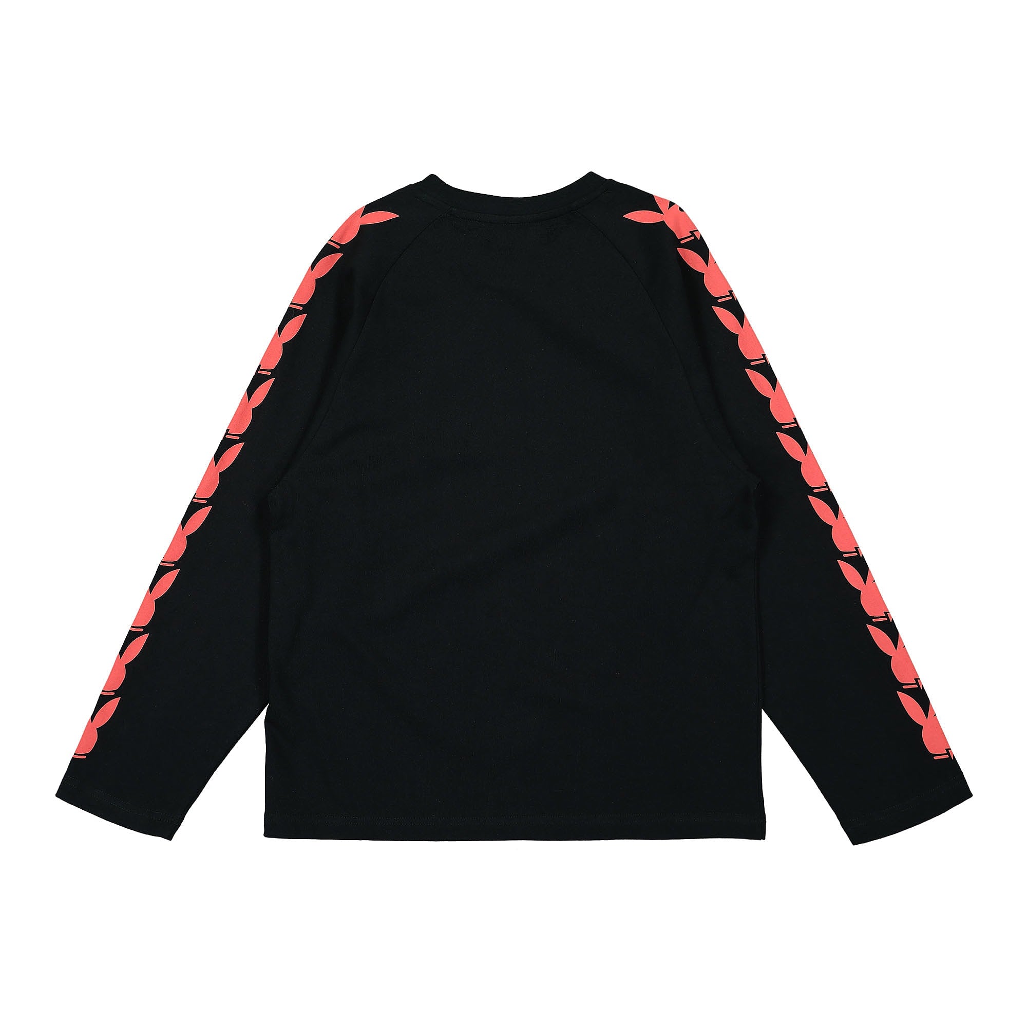 Pleasures<br>Raglan Long Sleeve