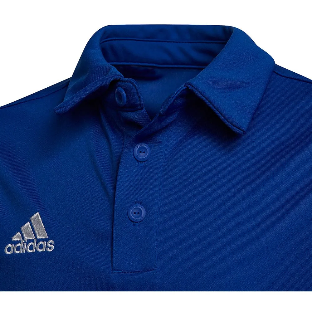 Camisa polo de manga curta adidas Entrada 22